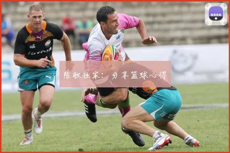 陈敏独家：分享篮球心得