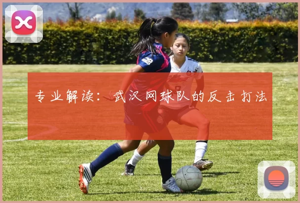 专业解读：武汉网球队的反击打法