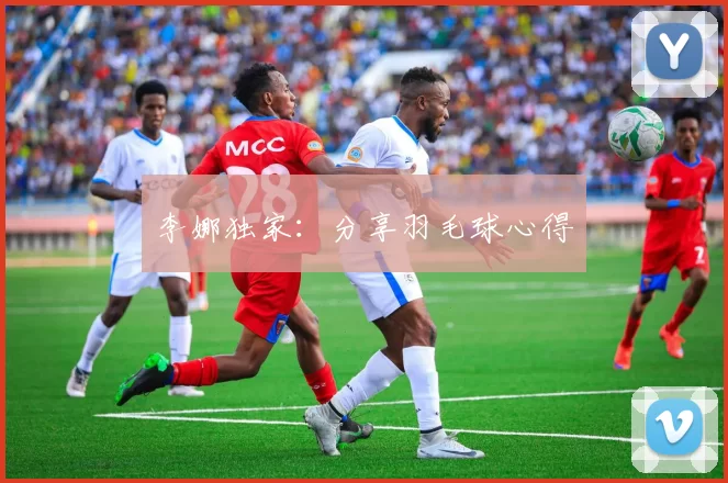 李娜独家：分享羽毛球心得