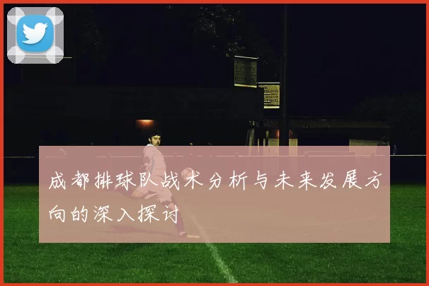 成都排球队战术分析与未来发展方向的深入探讨